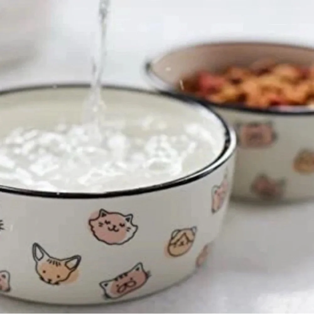 Cat Faces Pet Bowl Cat Water and Food Dish Pet Owner Cat Accessory Ceramic New